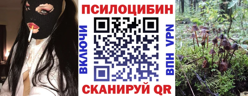 нарко площадка состав Нариманов Галлюциногенные грибы Magic Shrooms